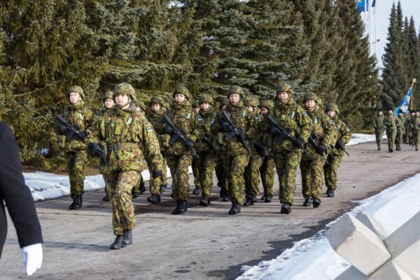 Naiskodukaitsja ametikoha valikuvõimaluste diapasoon on muljetavaldav, kattes kõik territoriaalkaitse võitlusdoktriinis nimetatud „V“-d – võimaldajad, võimendajad ja võitlejad.