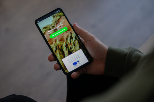 kaitsevaeteenistus.ee veebileht telefonis
