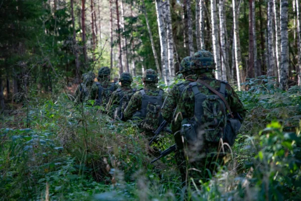 Läbi võsa kõnnivad reas kaitseväelased kamoflaaži vormis seljaga kaamera poole.