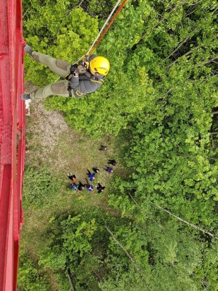 Jaoskonna traditsioonilised ettevõtmised on ajas pidevas muutumises, teisiti polekski see ju mõeldav.